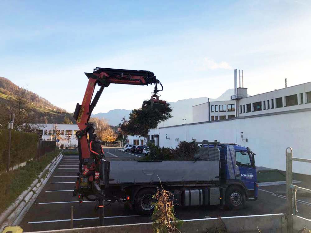 AckermannTrans - Kran